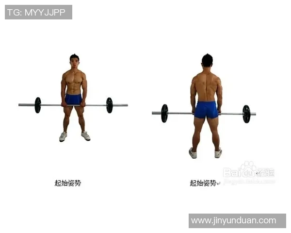 哑铃锻炼背部肌肉的最佳方法与技巧分享